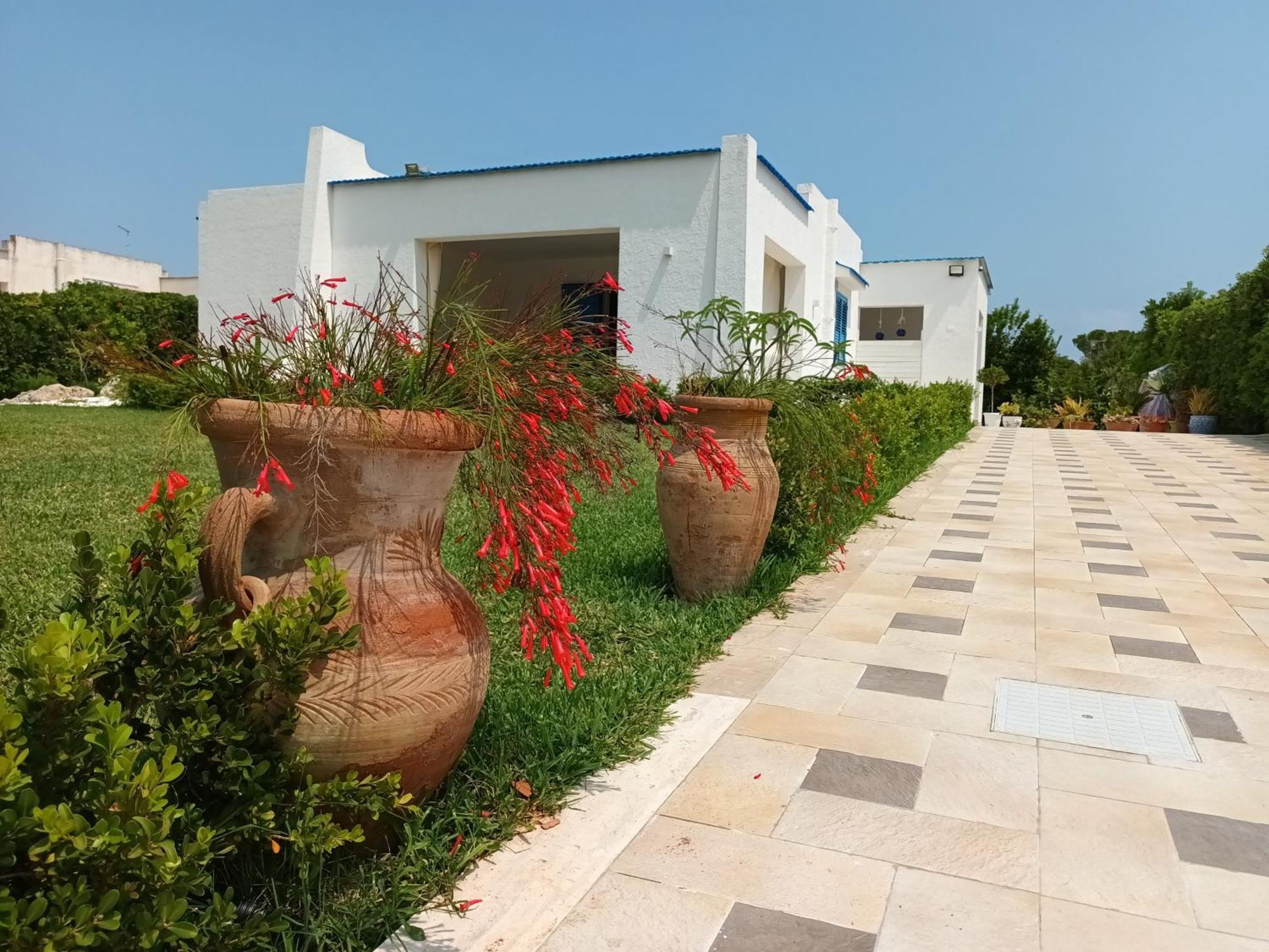 Le Stelle Di Orione Villa ฟอนตาเน บีอานเก ภายนอก รูปภาพ